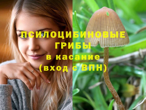 MDMA Михайлов