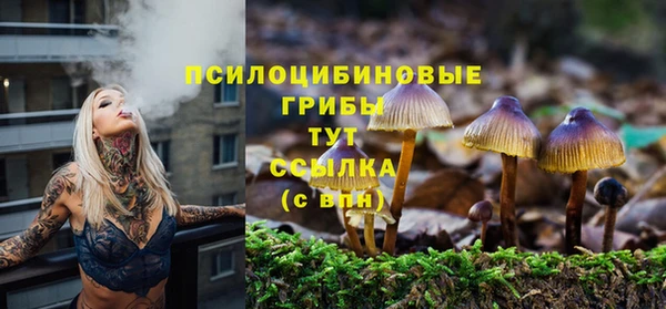 гашик Мегион