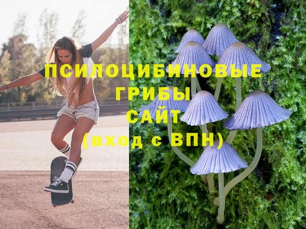 круглые Михайловск