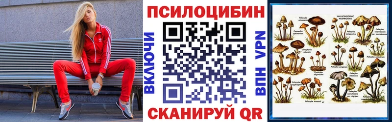 дарнет шоп  Кущёвская  блэк спрут ссылка  Псилоцибиновые грибы ЛСД 