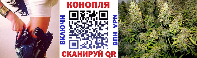 где можно купить наркотик  Кущёвская  Марихуана Amnesia 